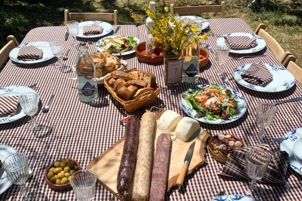 Dinar entre vinyes