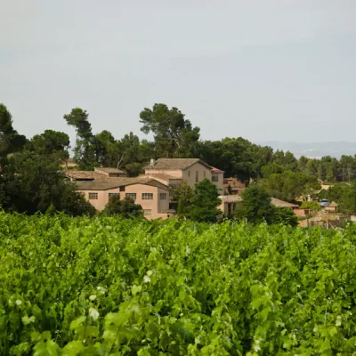 Celler Fargas-Fargas (SALELLES) | Espurnes Barroques
