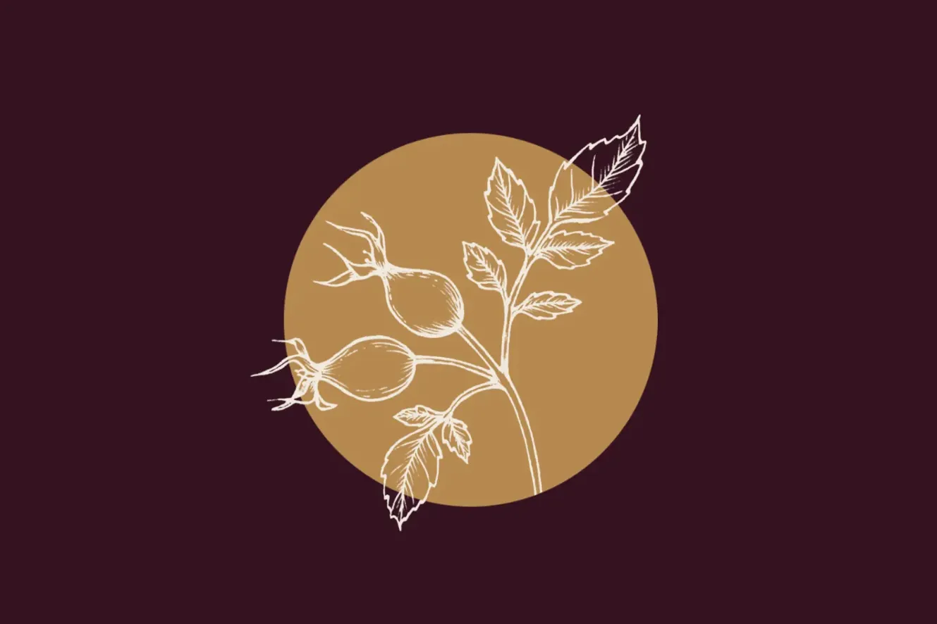 Gavarrera (1r cap de setmana) | Espurnes Barroques