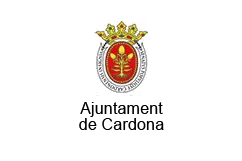 Ajuntament de Cardona | Espurnes Barroques